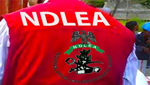 NDLEA 2026/2027 Recruitment/https://recruitmentdoc.com/