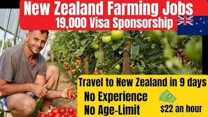 Farm work in New Zealand with Visa Sponsorship/ https://recruitmentdoc.com/